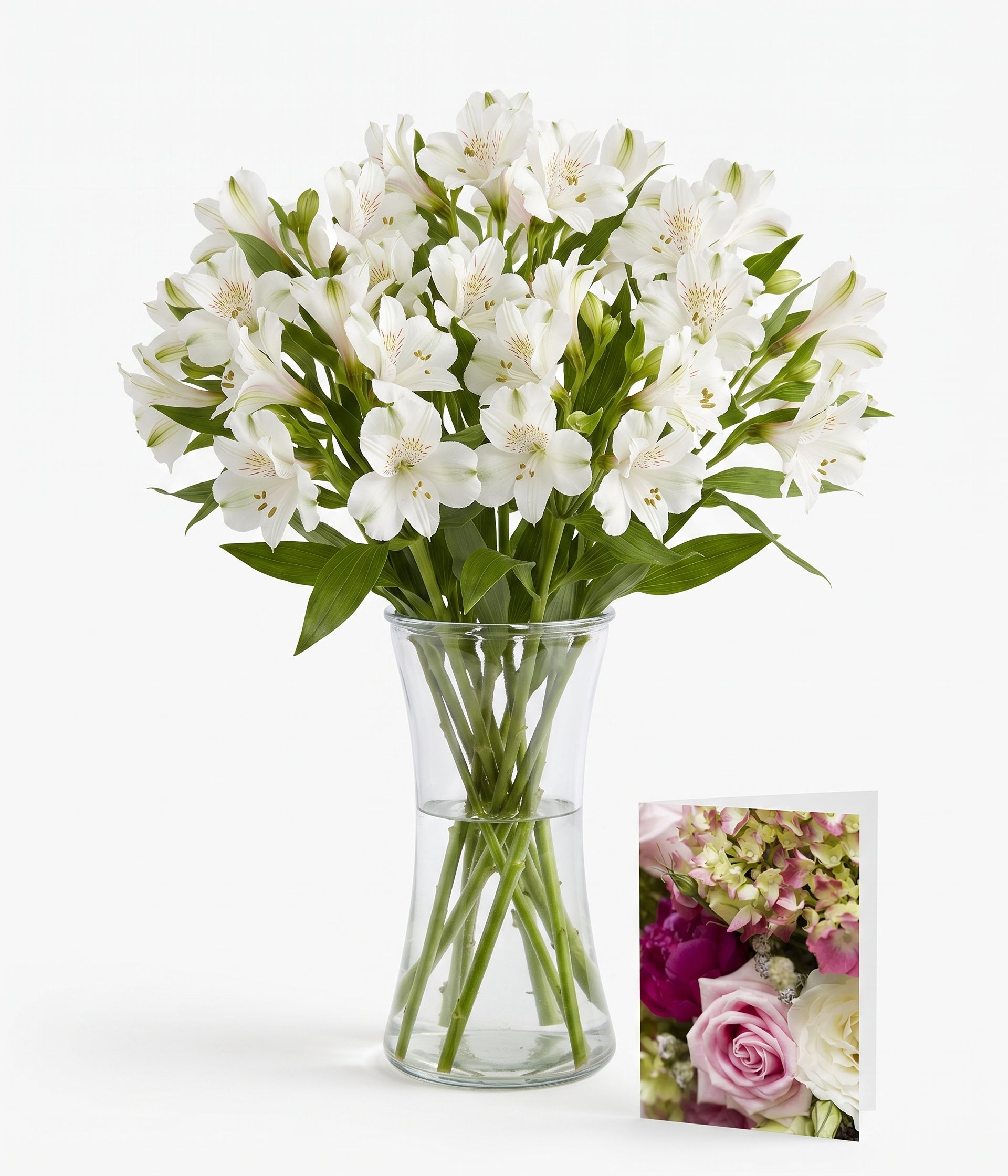 Easter Alstroemeria - 50 Bloom Collection | Greeting Card Bouquet