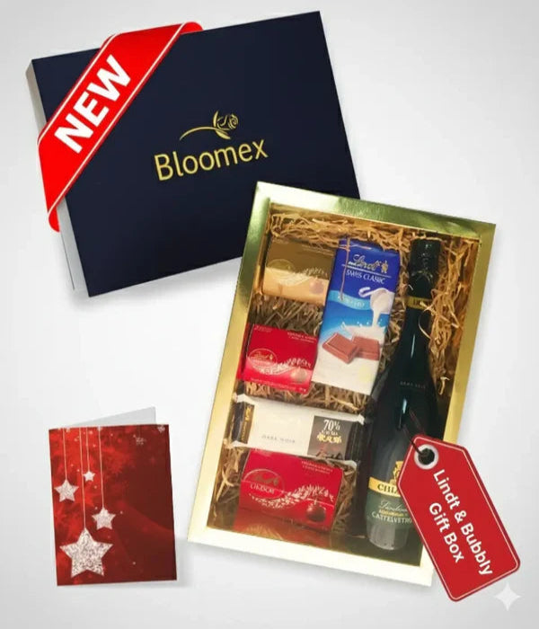 Lindt Chocolate & Bubbly Gift Box
