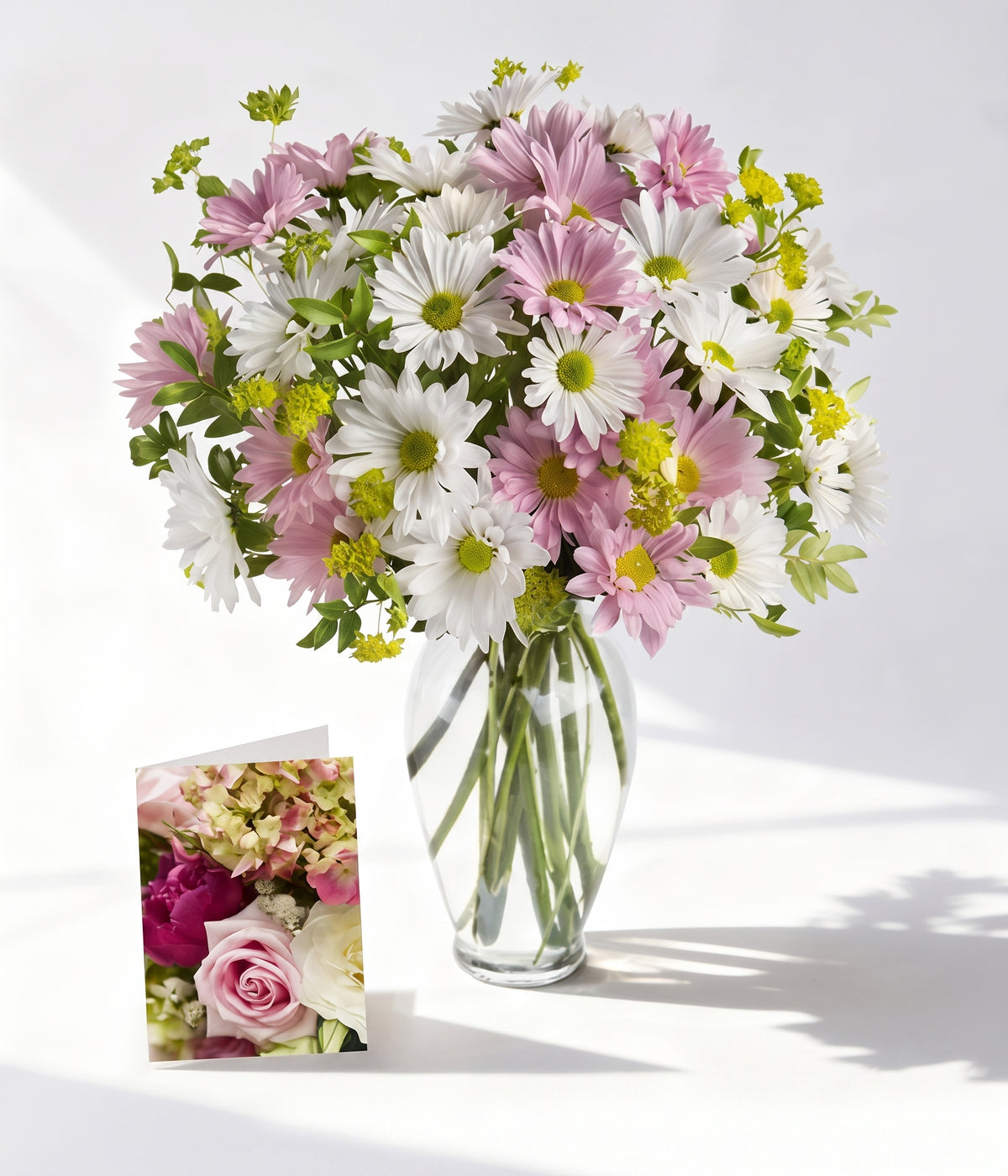 Chrysanthemum Love Collection