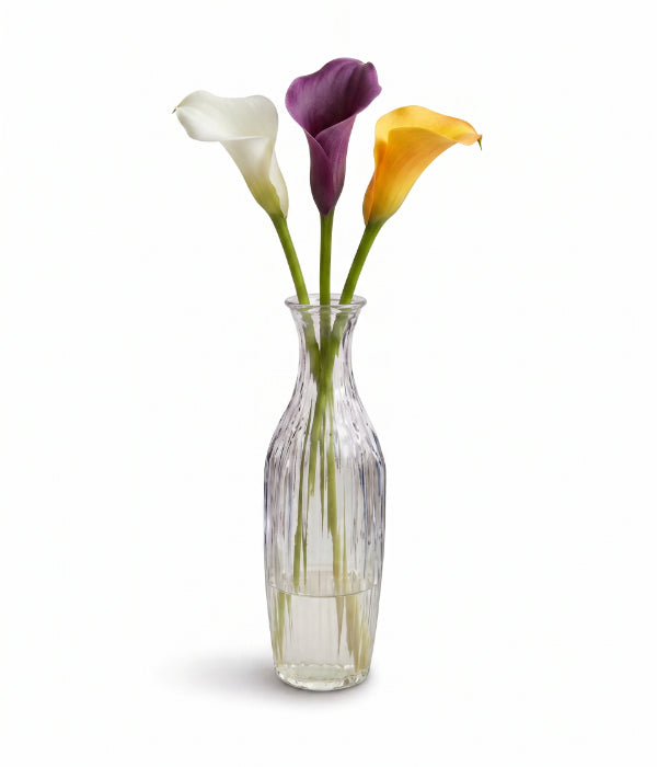 Trio de Lys assortis
