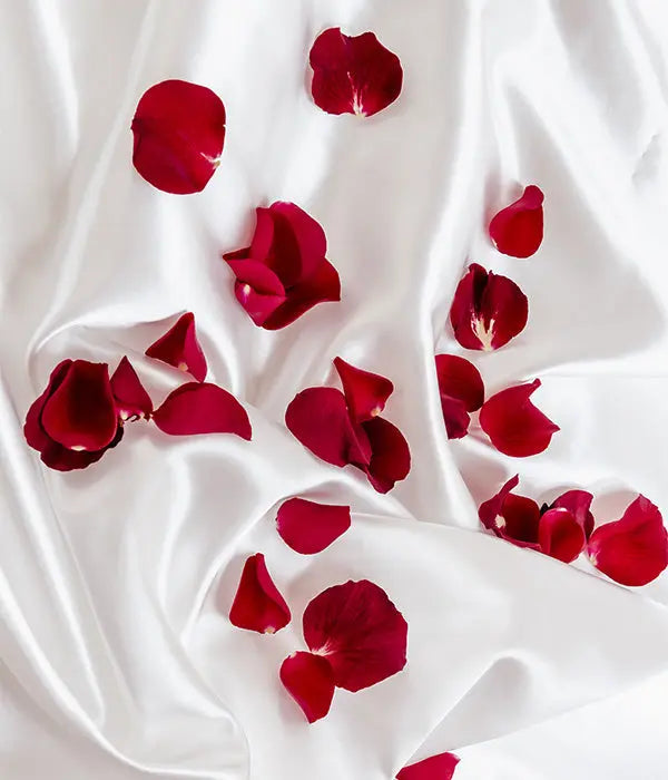 Fresh Ruby Rose Petals