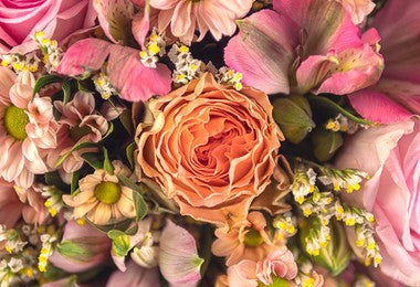 Flower Meanings Guide: What Each Flower Says