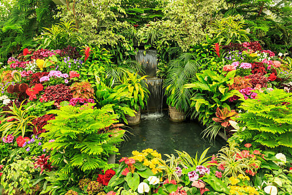 The Ultimate Guide to Seasonal Flowers in BC