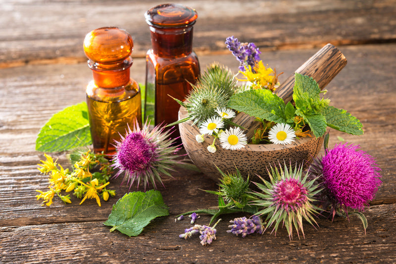 Flowers and Health: The Benefits of Having Fresh Flowers in Your Home