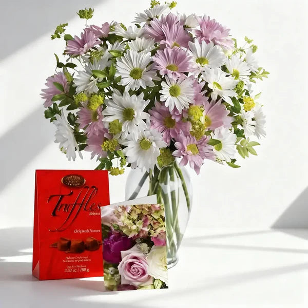 Chrysanthemum Love Collection 3 Blooms