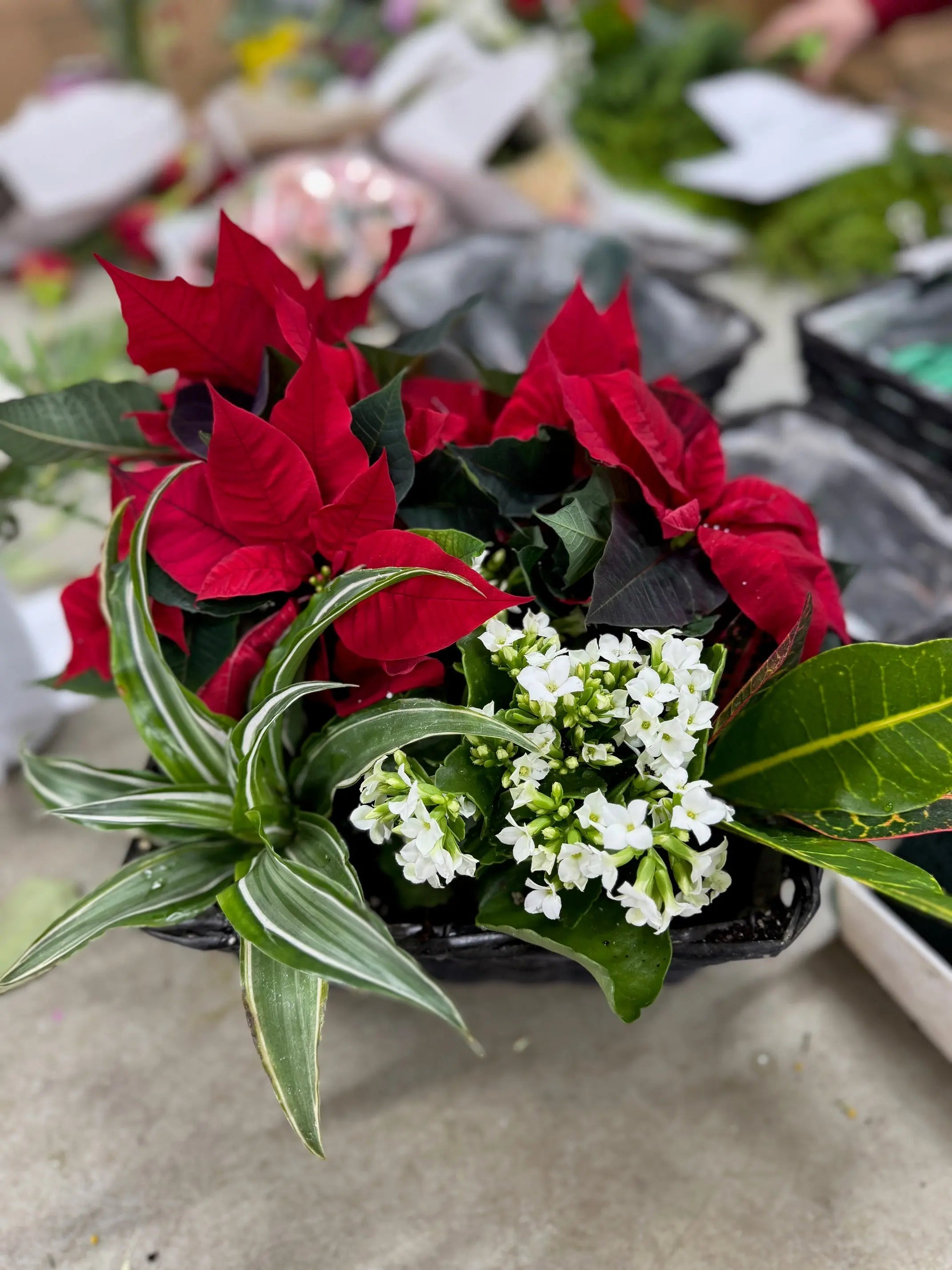 Magical Moments Bouquet & Gourmet Gifts Send Blooms
