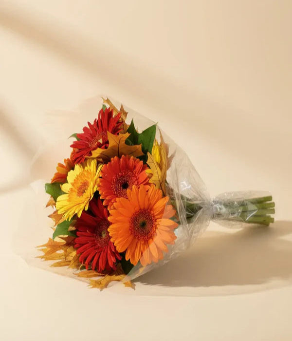 Vibrant Autumn Gerbera Daisies