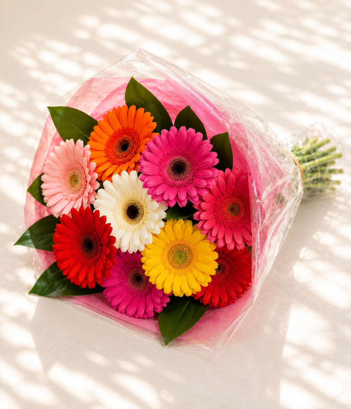 Vibrant Rainbow Gerbera Daisy Flower Delivery Blooms
