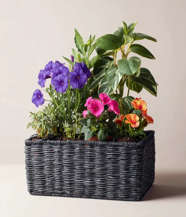 House Plants Planter Basket 3