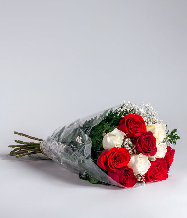 12 roses canne à sucre