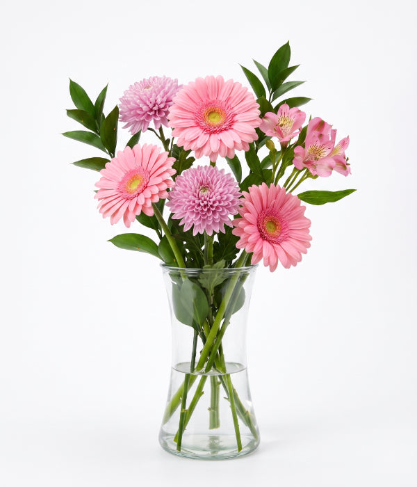 明亮非洲菊花束