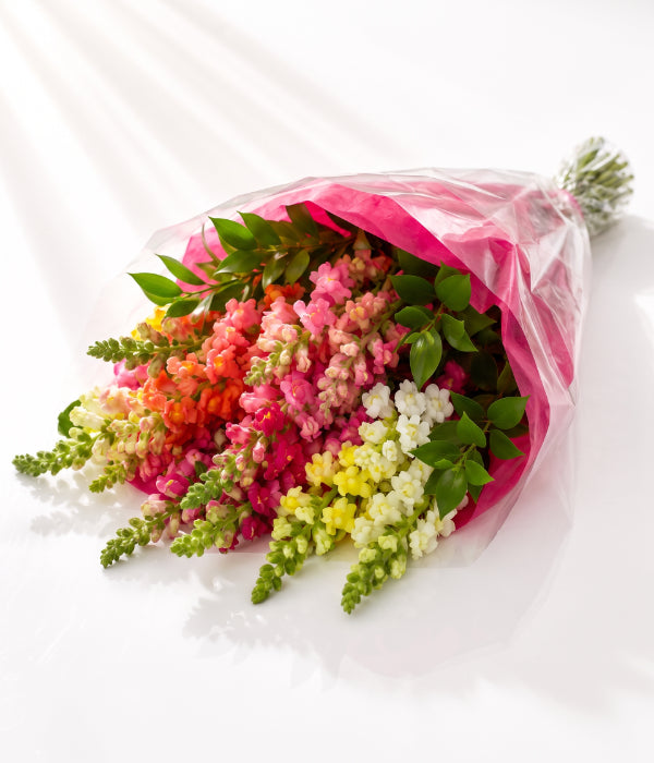 Snapdragon Bouquet