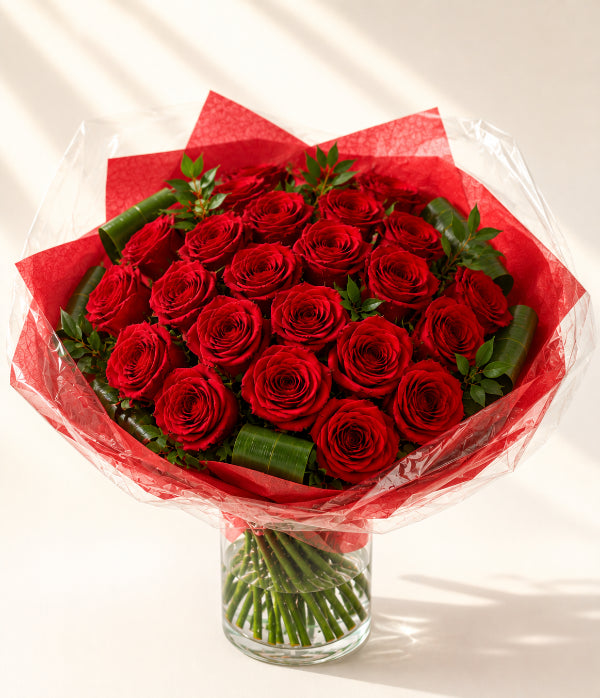 24 roses rouge profond et cadeau | Ours en peluche, vase, chocolats et carte