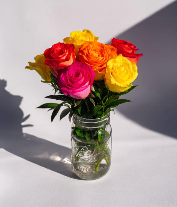 Roses colorées dans un pot Mason