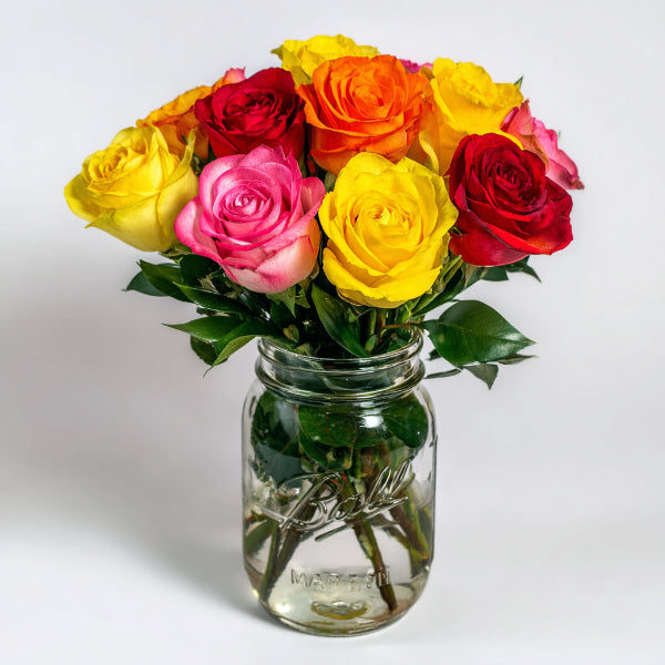 Roses colorées dans un pot Mason