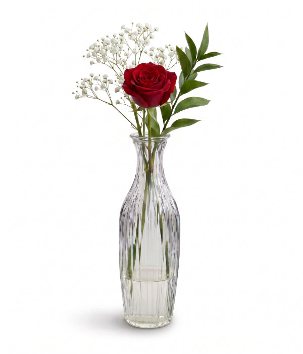 Velvet Red Roses