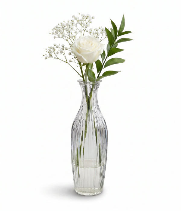 Ivory Roses