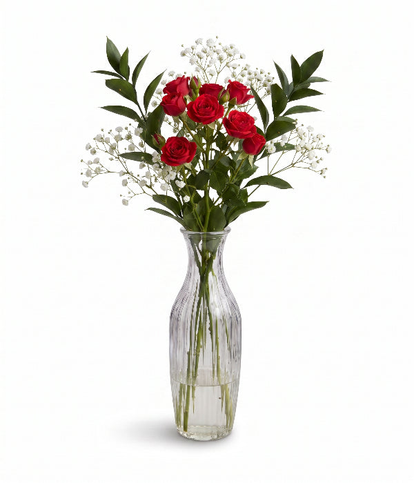 Ruby Spray Roses