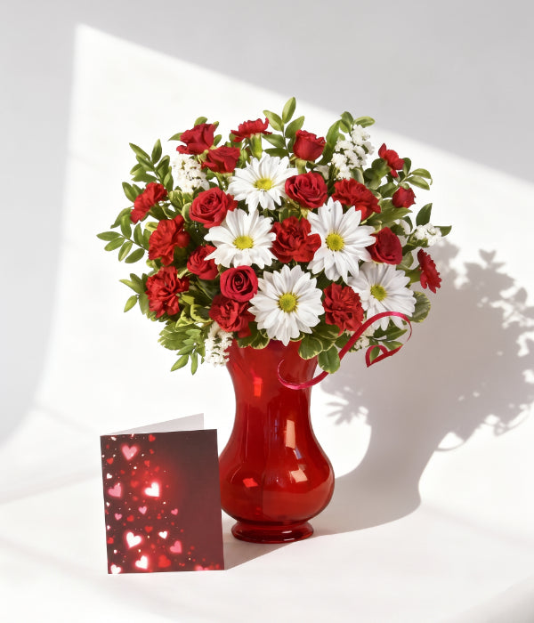 Soft Romance Collection I