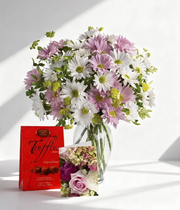 Chrysanthemum Love Collection 3